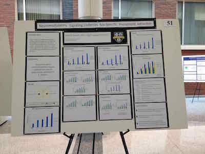 Poster Day